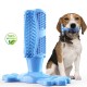 Popular Design Large Size Pet Chew Toys Finger Teeth Cleaning Brush Stick Dog Toothbrush